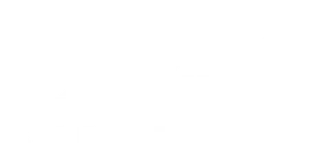 Shingle Life